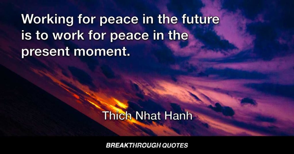 Working for peace in the future is to work for peace in the present moment. — Thich Nhat Hanh
