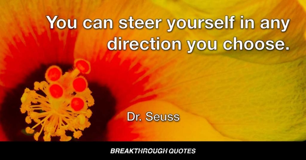 You have brains in your head. You have feed in your shoes. You can steer yourself in any direction you choose. — Dr. Seuss