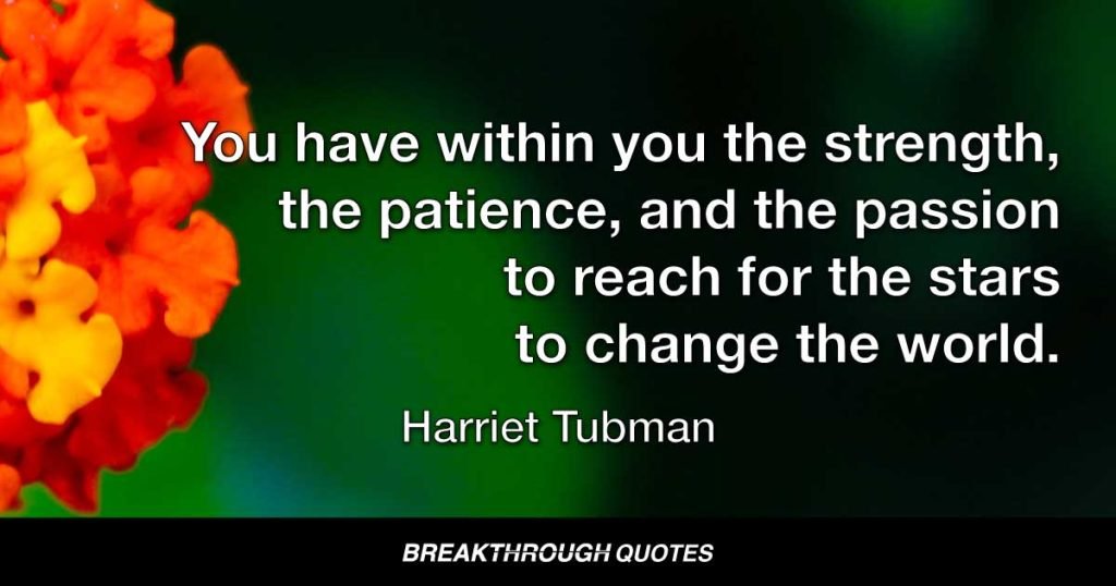 You have within you the strength, the patience, and the passion to reach for the stars to change the world. — Harriet Tubman