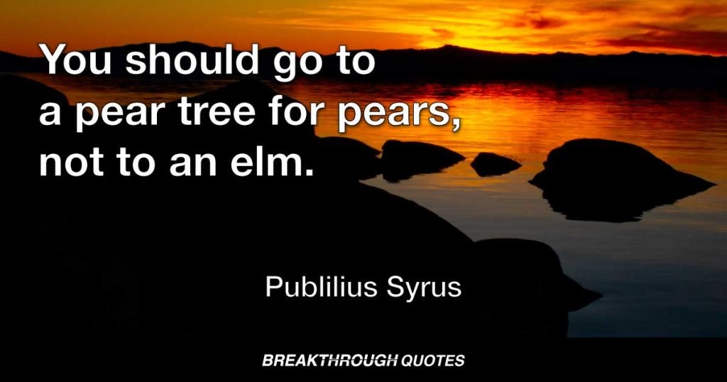 You should go to a pear tree for pears, not to an elm. — Publilius Syrus