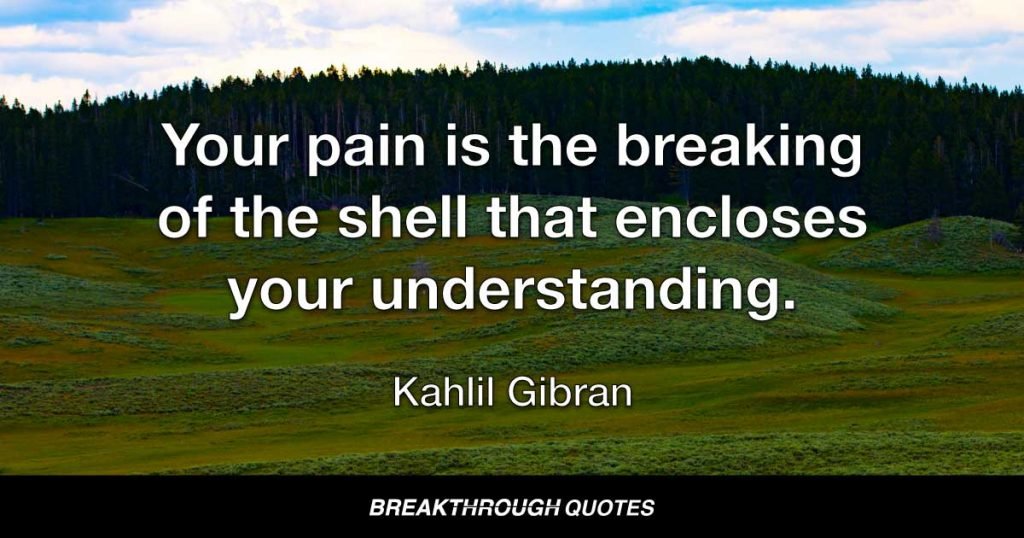 Your pain is the breaking of the shell that encloses your understanding. — Kahlil Gibran
