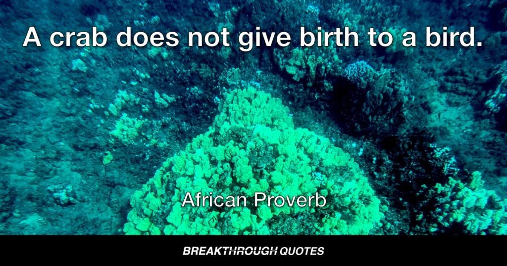 A crab does not give birth to a bird. — African Proverb