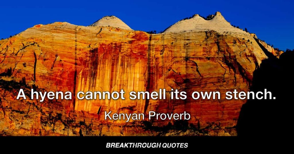 A hyena cannot smell its own stench. — Kenyan Proverb