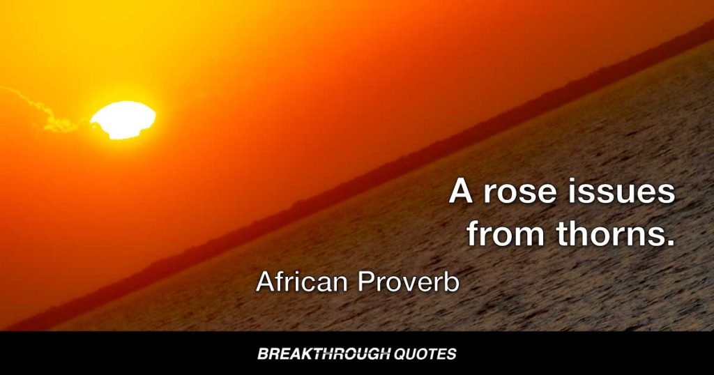 A rose issues from thorns. — African Proverb
