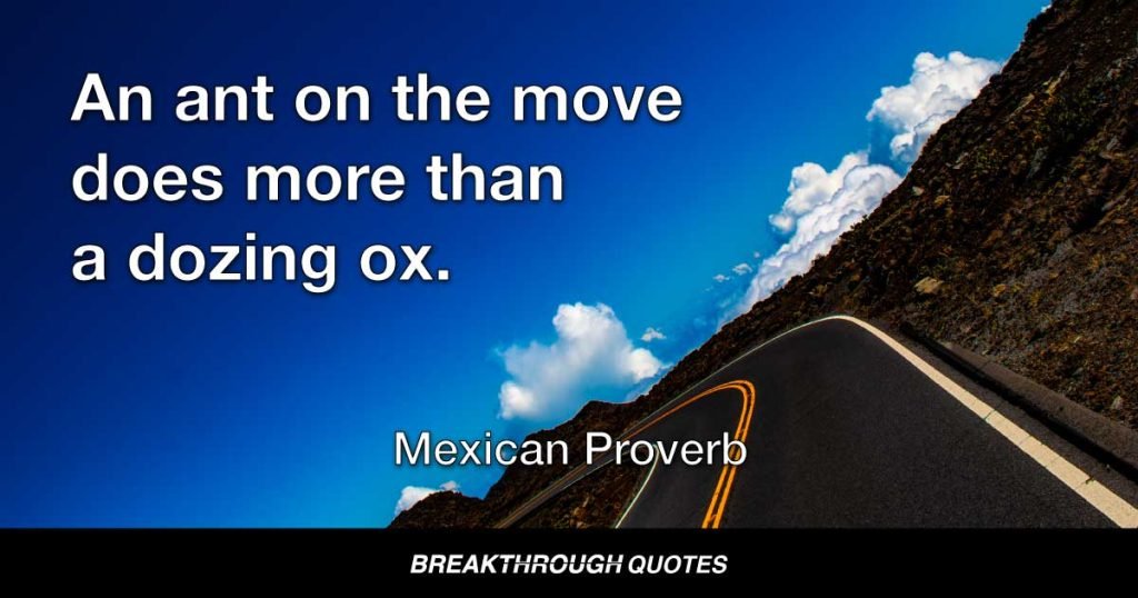 An ant on the move does more than a dozing ox. — Mexican Proverb