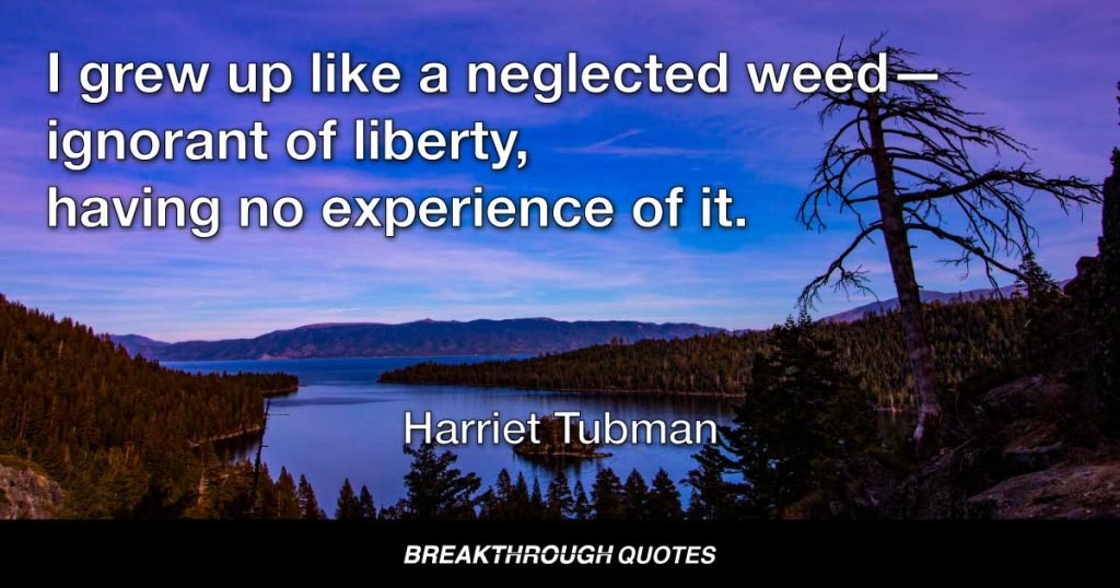 I grew up like a neglected weed—ignorant of liberty, having no experience of it. — Harriet Tubman