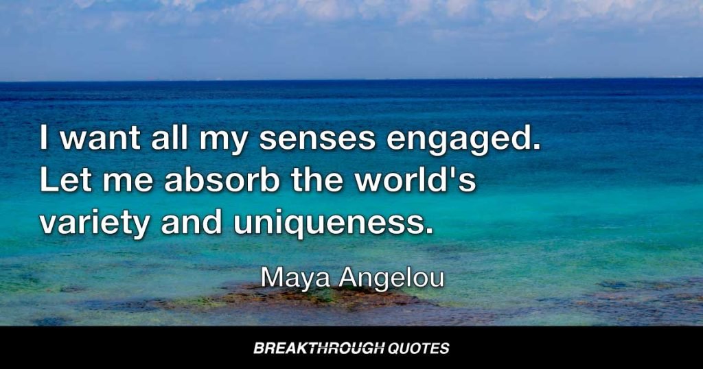 I want all my senses engaged. Let me absorb the world's variety and uniqueness. — Maya Angelou