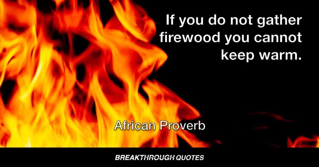 If you do not gather firewood you cannot keep warm. — African Proverb