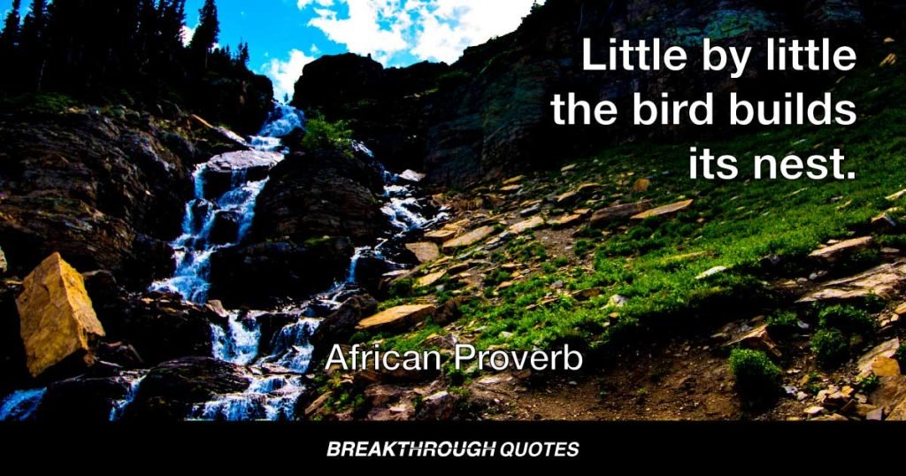 Little by little the bird builds its nest. — African Proverb