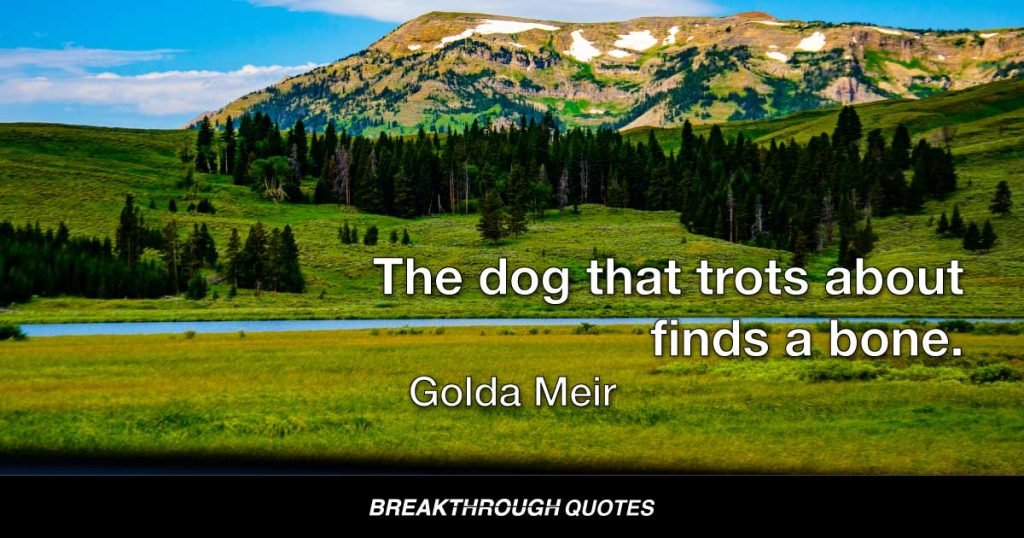 The dog that trots about finds a bone. — Golda Meir