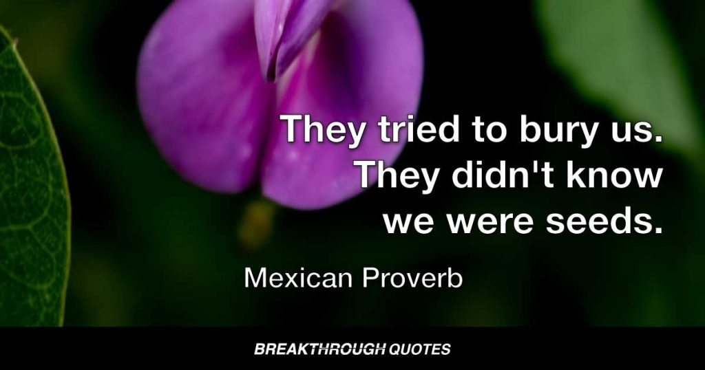 They tried to bury us. They didn't know we were seeds. — Mexican Proverb