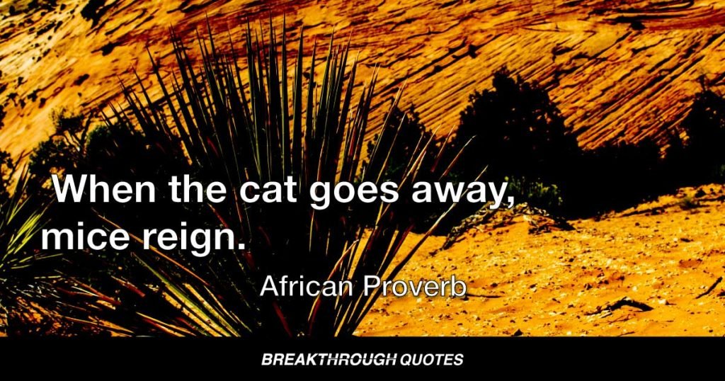 When the cat goes away, mice reign. — African Proverb