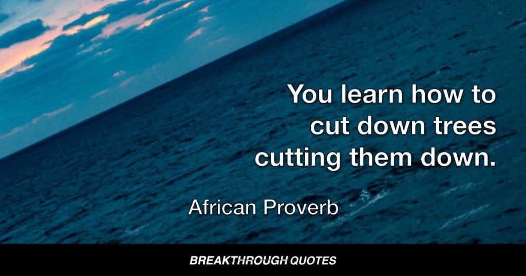 You learn how to cut down trees cutting them down. — African Proverb