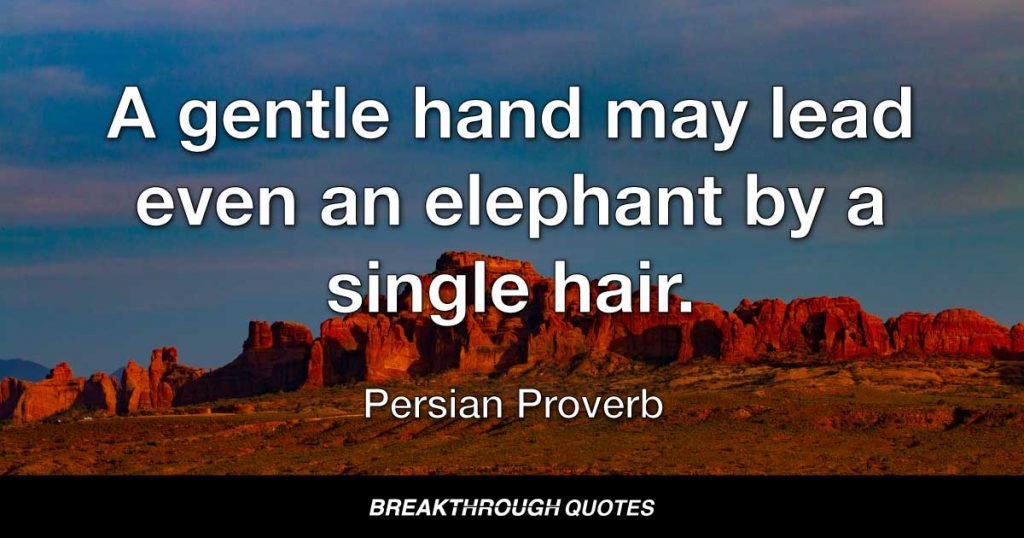 A gentle hand may lead even an elephant by a single hair. — Persian Proverb