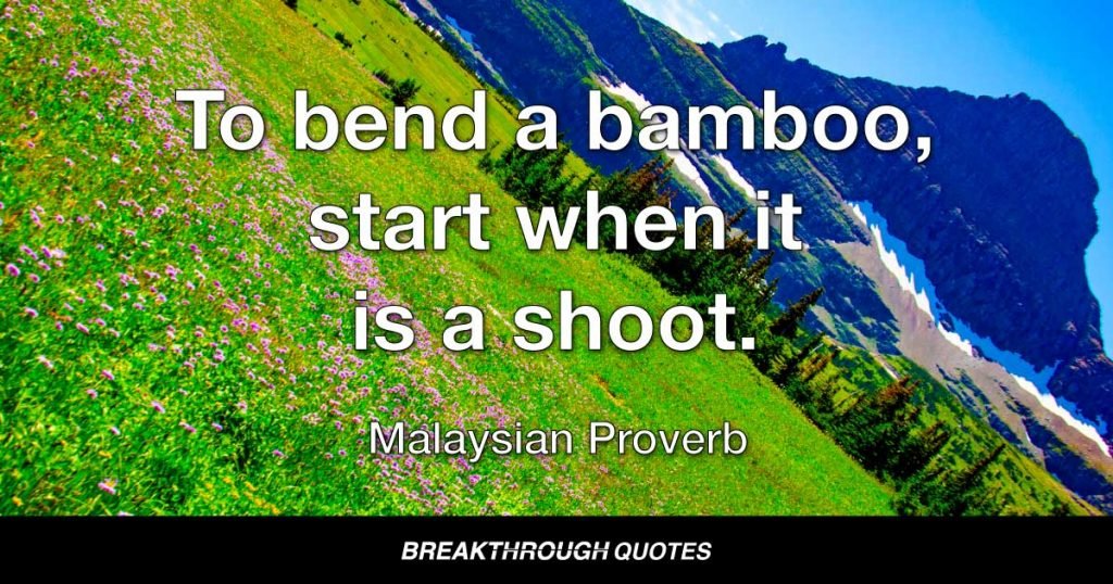To bend a bamboo, start when it is a shoot. — Malaysian Proverb