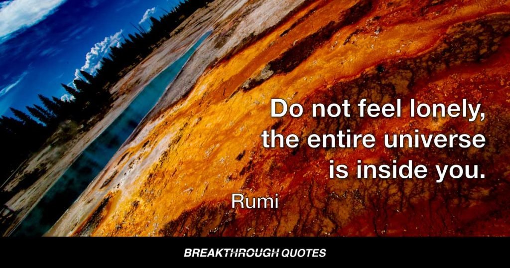 Do not feel lonely, the entire universe is inside you. — Rumi