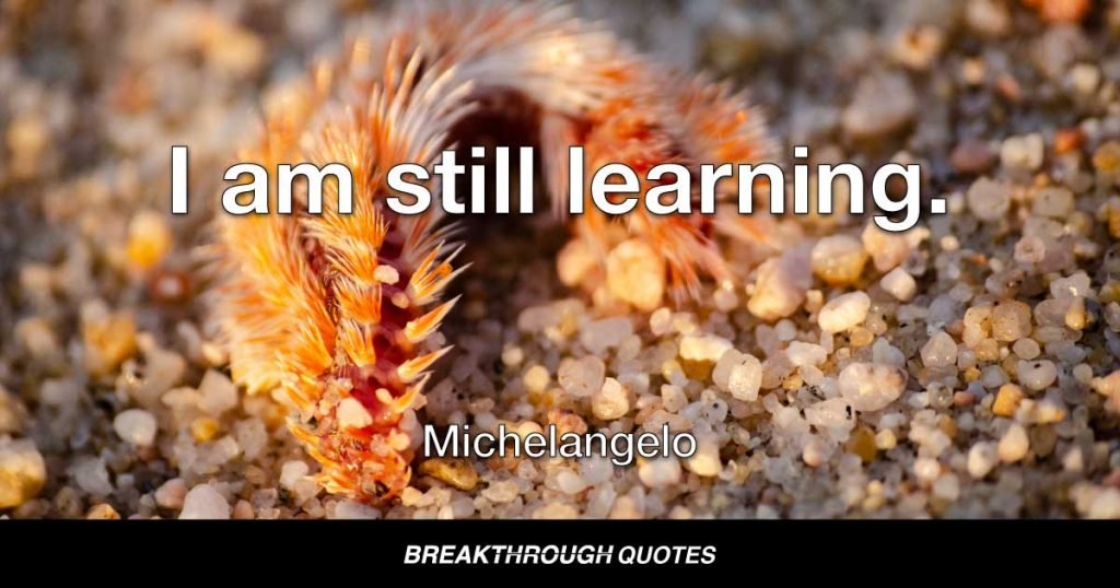 I am still learning. — Michelangelo