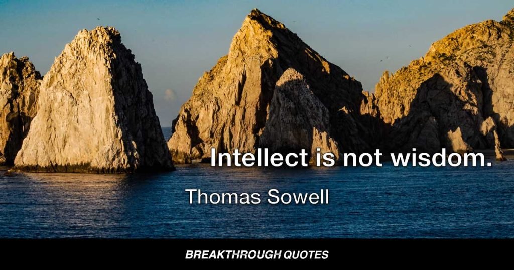 Intellect is not wisdom. — Thomas Sowell