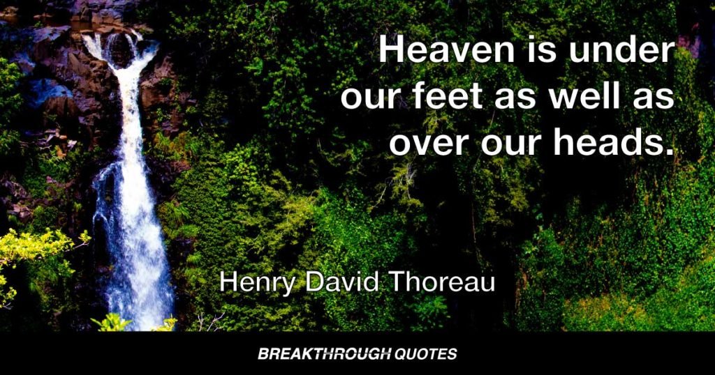Heaven is under our feet as well as over our heads. — Henry David Thoreau