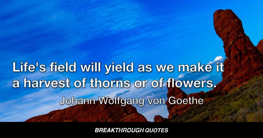 Life's field will yield as we make it A harvest of thorns or of flowers. — Johann Wolfgang von Goethe