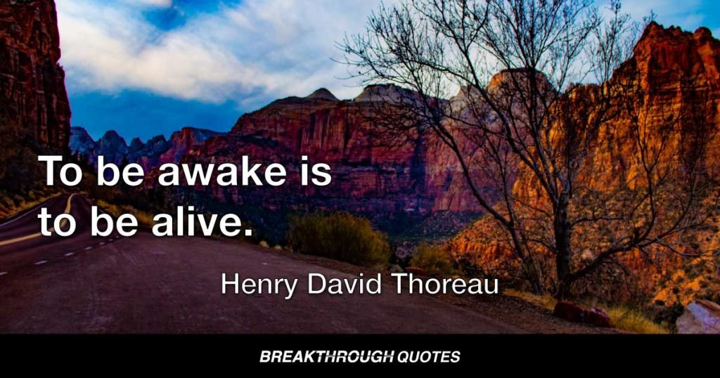 To be awake is to be alive. — Henry David Thoreau