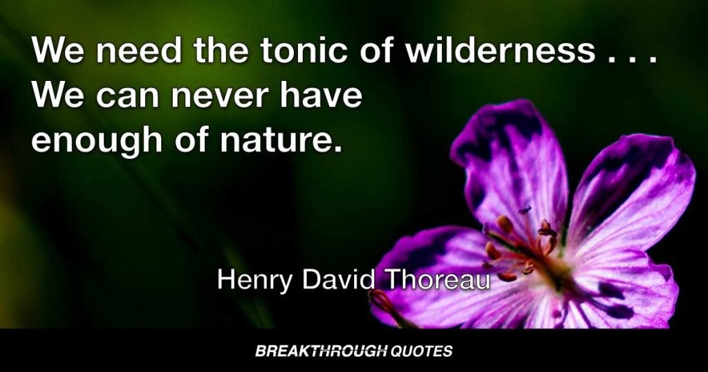 We need the tonic of wilderness . . . We can never have enough of nature. — Henry David Thoreau