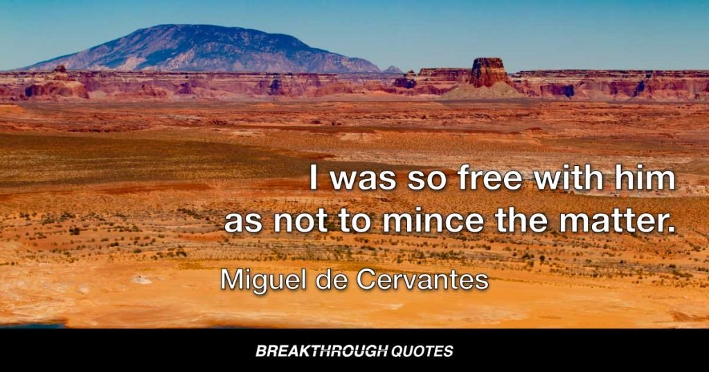 I was so free with him as not to mince the matter. — Miguel de Cervantes