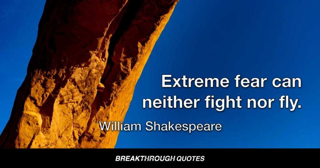 Extreme fear can neither fight nor fly. — William Shakespeare