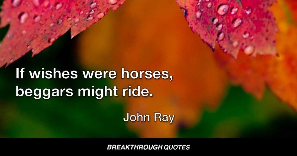 If wishes were horses, beggars might ride. — John Ray