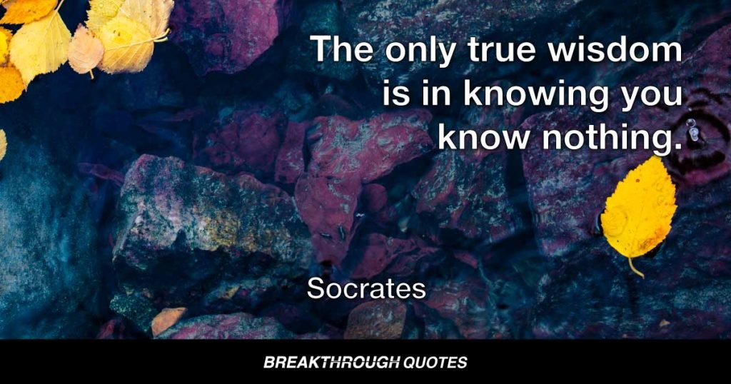 The only true wisdom is in knowing you know nothing. — Socrates