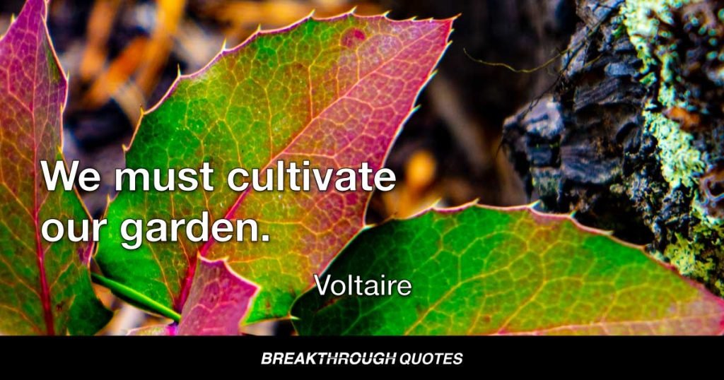 We must cultivate our garden. — Voltaire