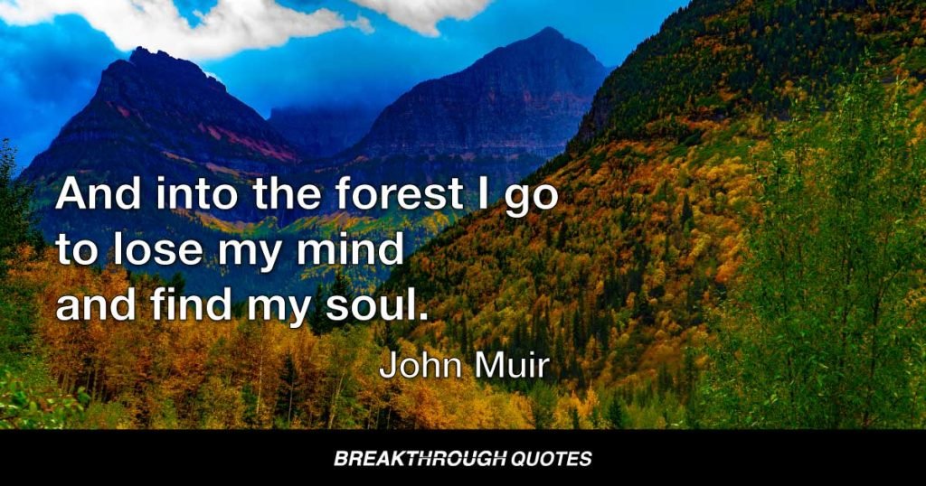 And into the forest I go to lose my mind and find my soul. — John Muir