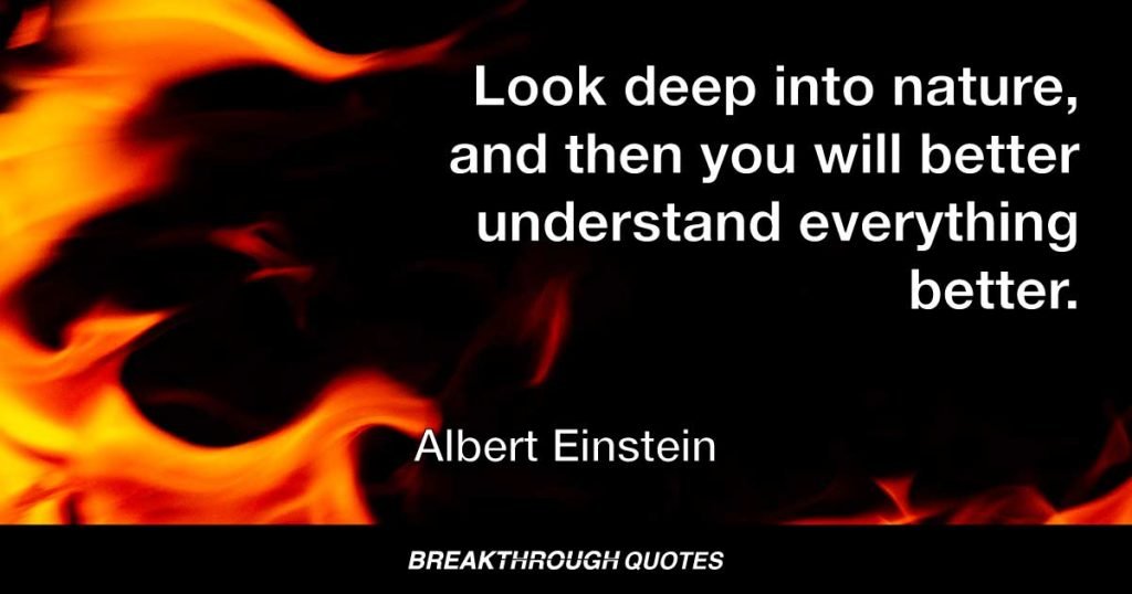 Look deep into nature, and then you will better understand everything better. — Albert Einstein