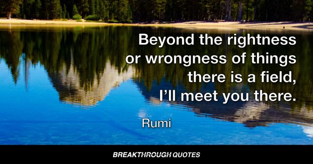 Beyond the rightness or wrongness of things there is a field, I’ll meet you there. — Rumi