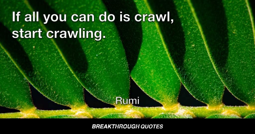 If all you can do is crawl, start crawling. — Rumi