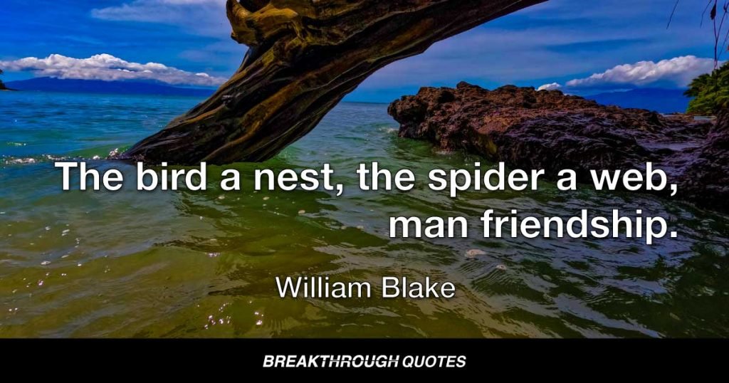 The bird, a nest; the spider a web; man, friendship. — William Blake