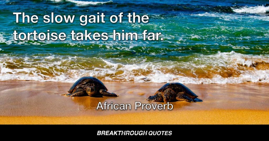 The slow gait of the tortoise takes him far. — African Proverb